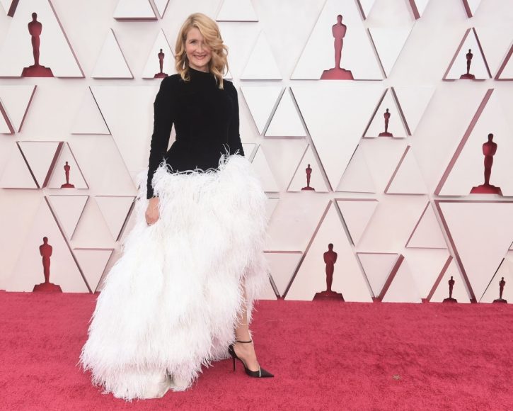 Laura Dern in ABC's Coverage Of The 93rd Annual Academy Awards - Red Carpet