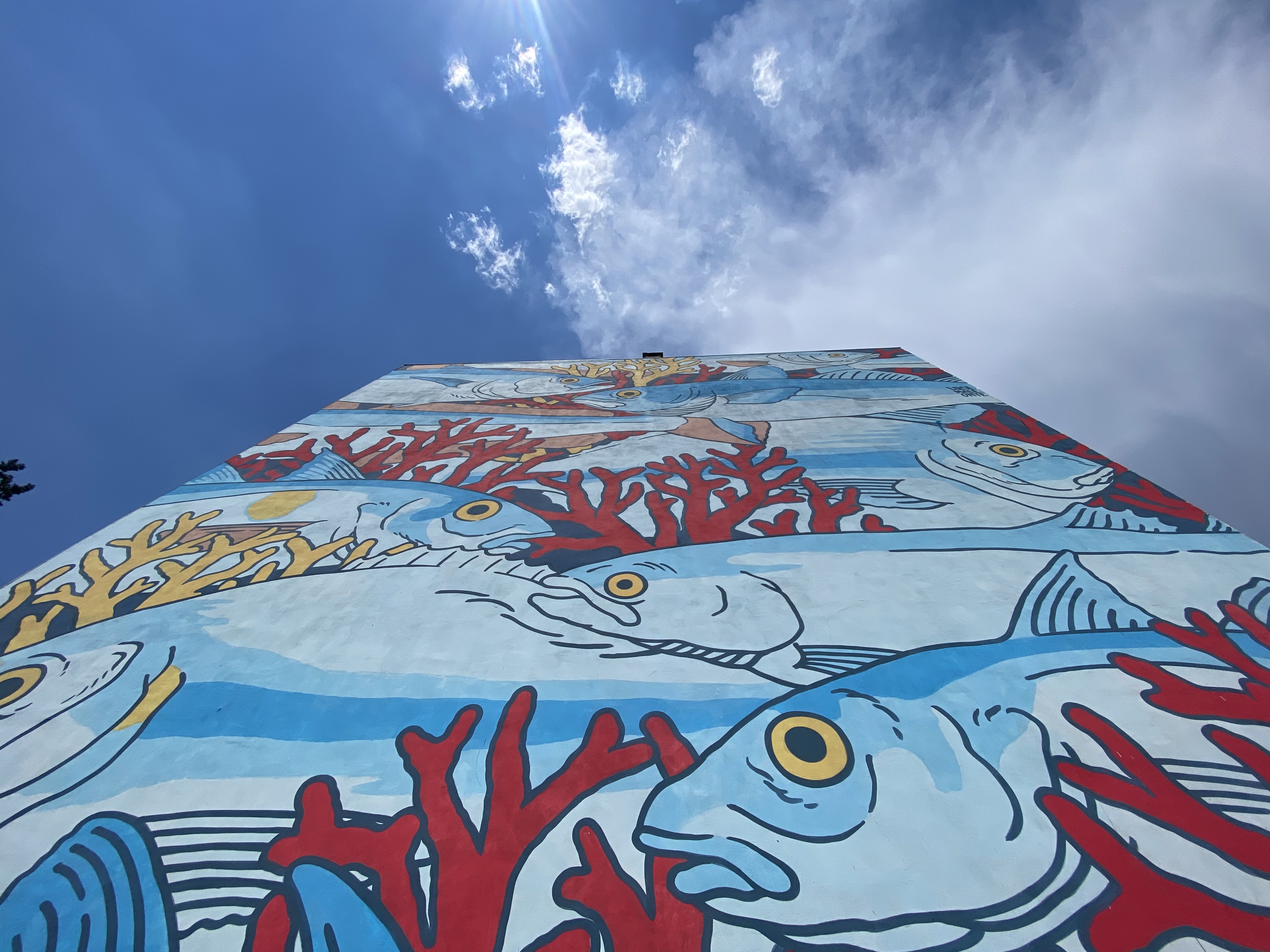 Il mare inonda Roma con l’eco-murale dello street artist Lucamaleonte a Tor Bella Monaca